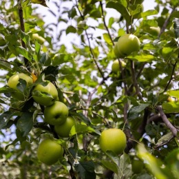 Instagram post from @pothbrewery on June 04, 2025 00:00:00am